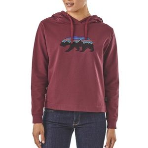 Patagonia Fitz Roy Bear Hoody